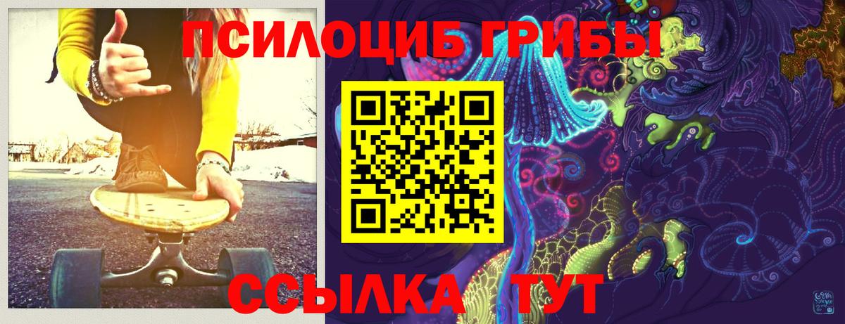 Копейск  Псилоцибиновые грибы MAGIC MUSHROOMS  Вход с VPN 